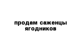 продам саженцы ягодников